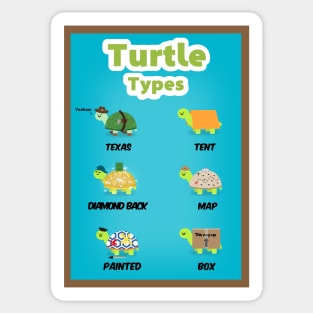 Turtle types version 1/2 Sticker